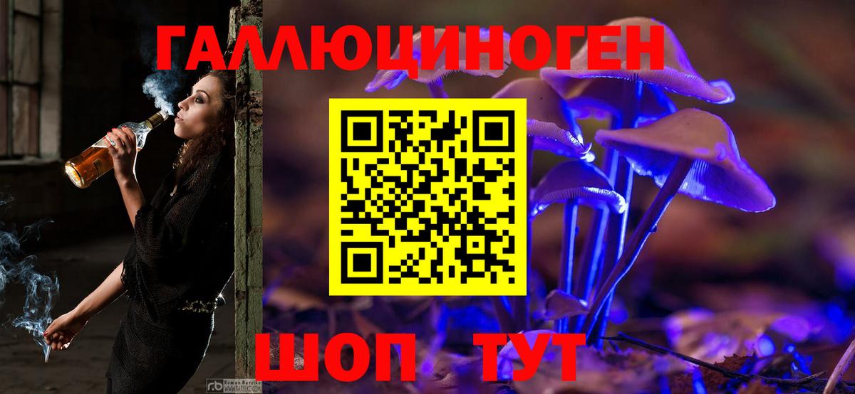 Псилоцибиновые грибы GOLDEN TEACHER  Вход с VPN  Отрадный  Галлюциногенные грибы прущие грибы 